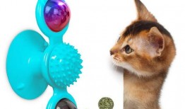 爆料宠物玩具怎么做视频,轻松上手，打造萌宠专属乐园